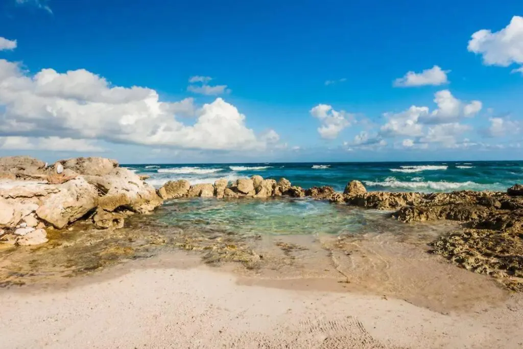 Beautiful Paradise - Beachfront Akumal
